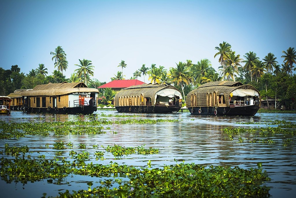 Alleppey Wedding Venues