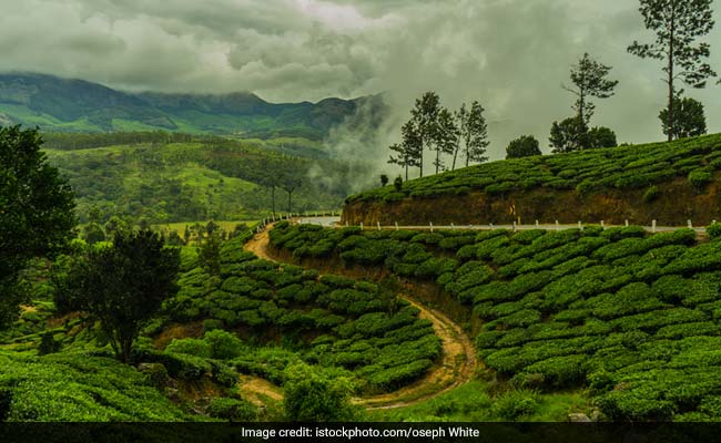 Munnar Wedding Venues